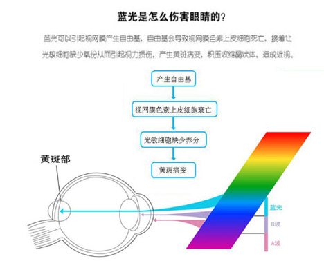 蓝光的危害 蓝光的危害